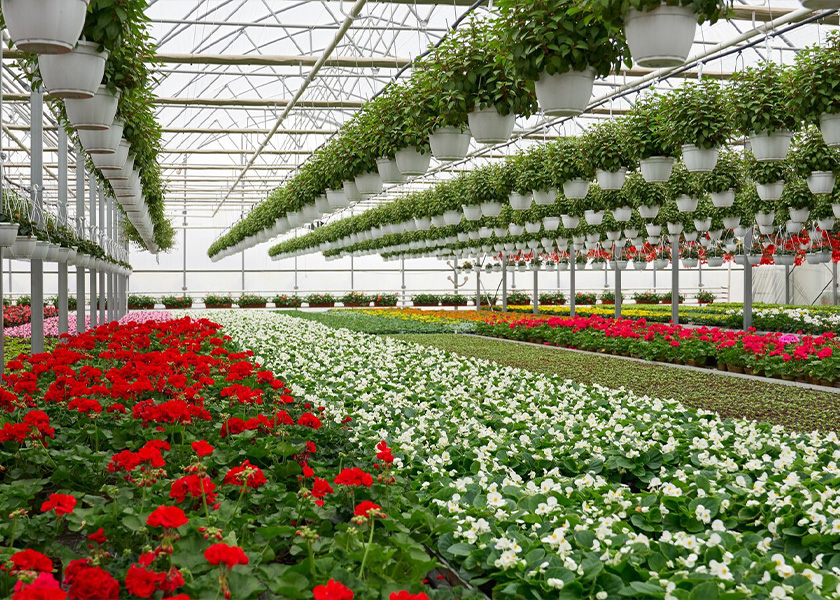 Agriculture